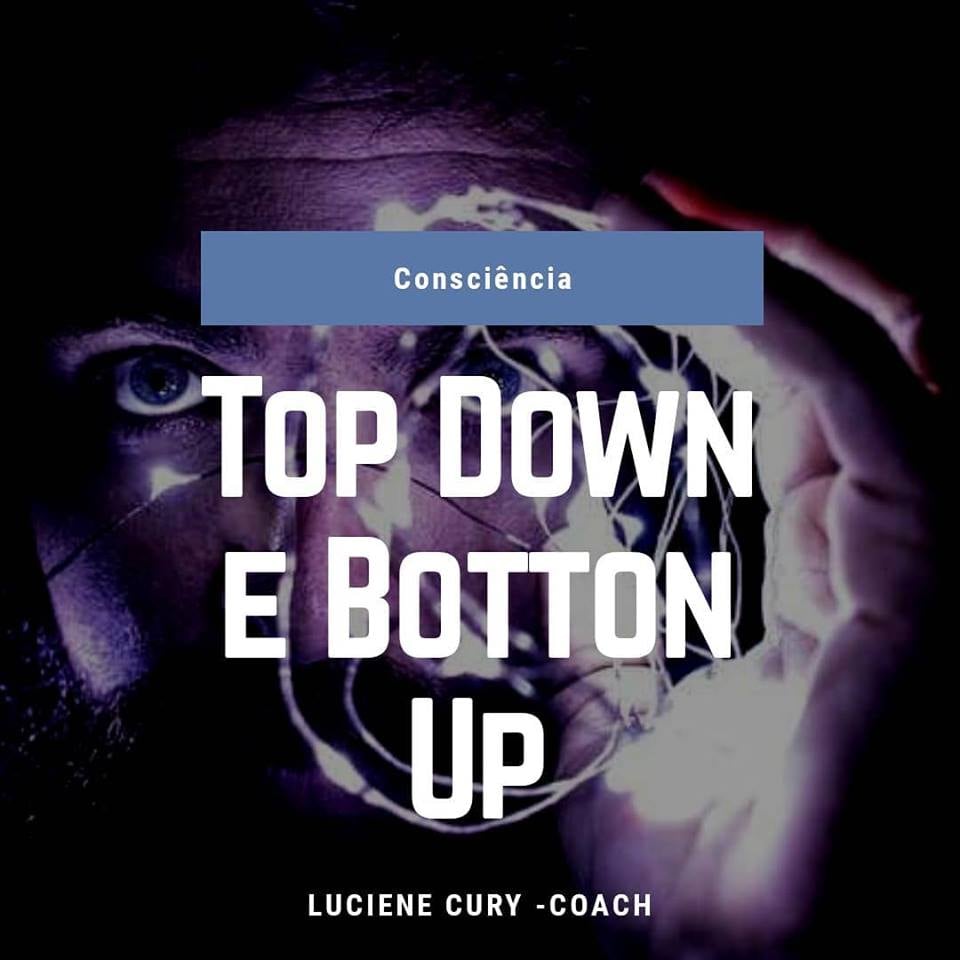 Read more about the article Top Down e Botton Up